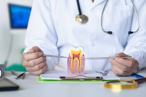 Best Tooth Infection Emergency Dentist  in West Yarmouth, MA